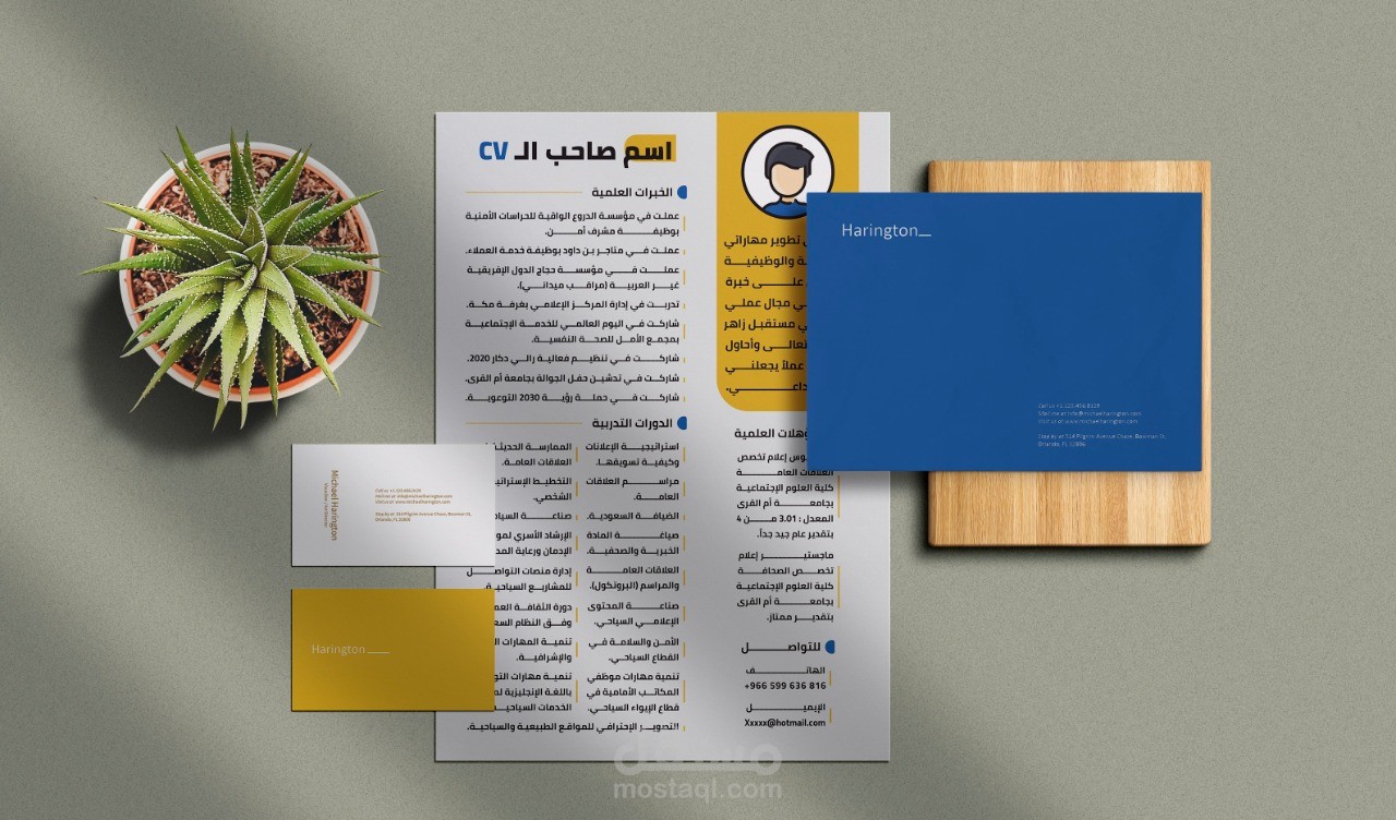 تصميم سيرة ذاتية cv إحترافية