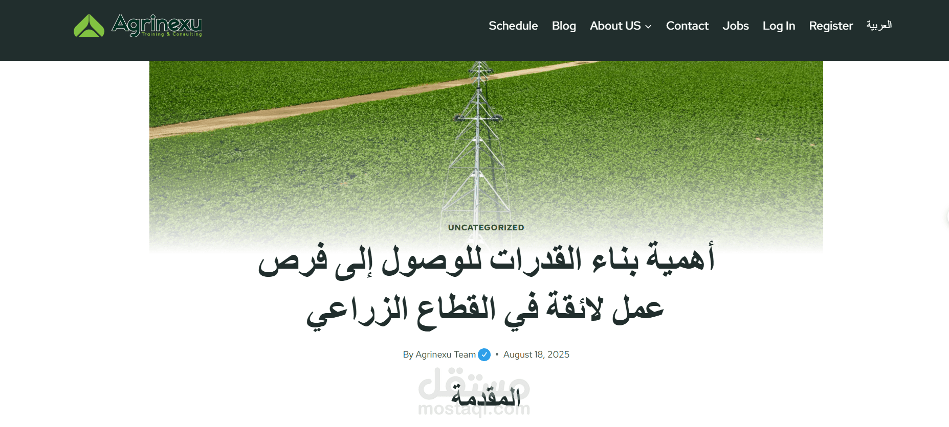 كتابة مقال متوافق مع محركات البحث
