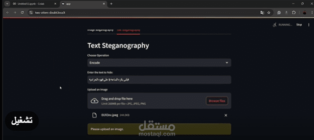 Data Steganography