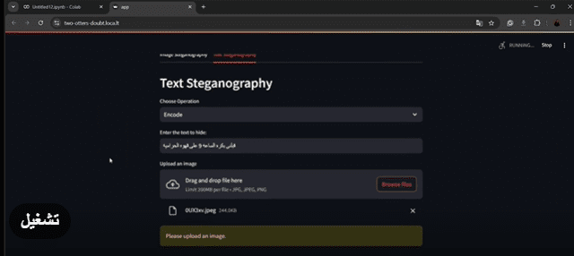 Data Steganography