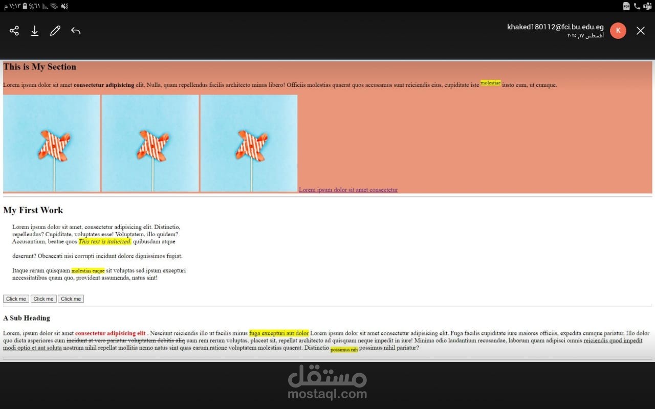 web devlopment