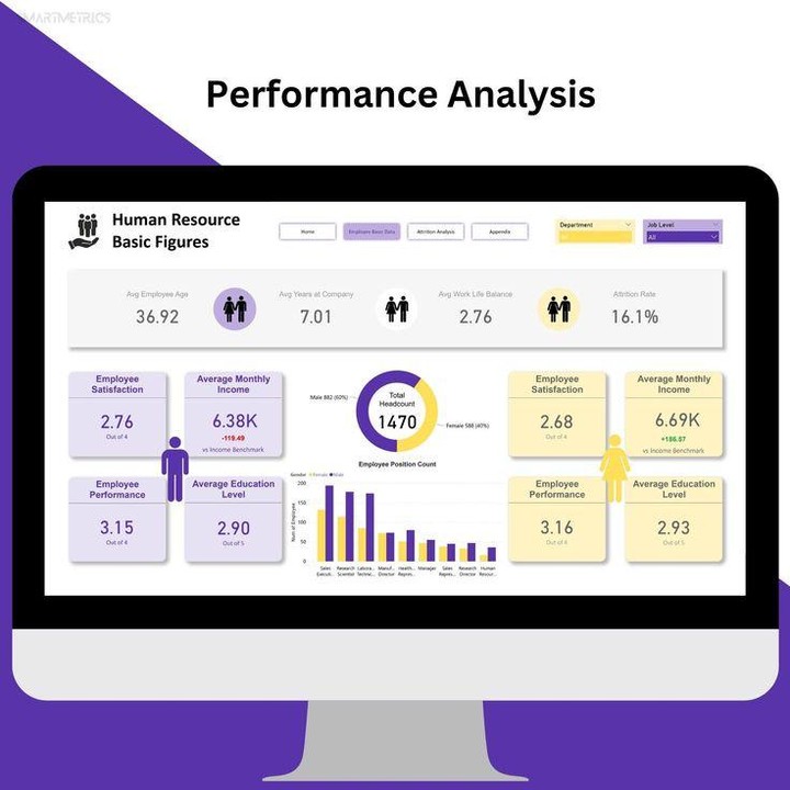 data analysis project