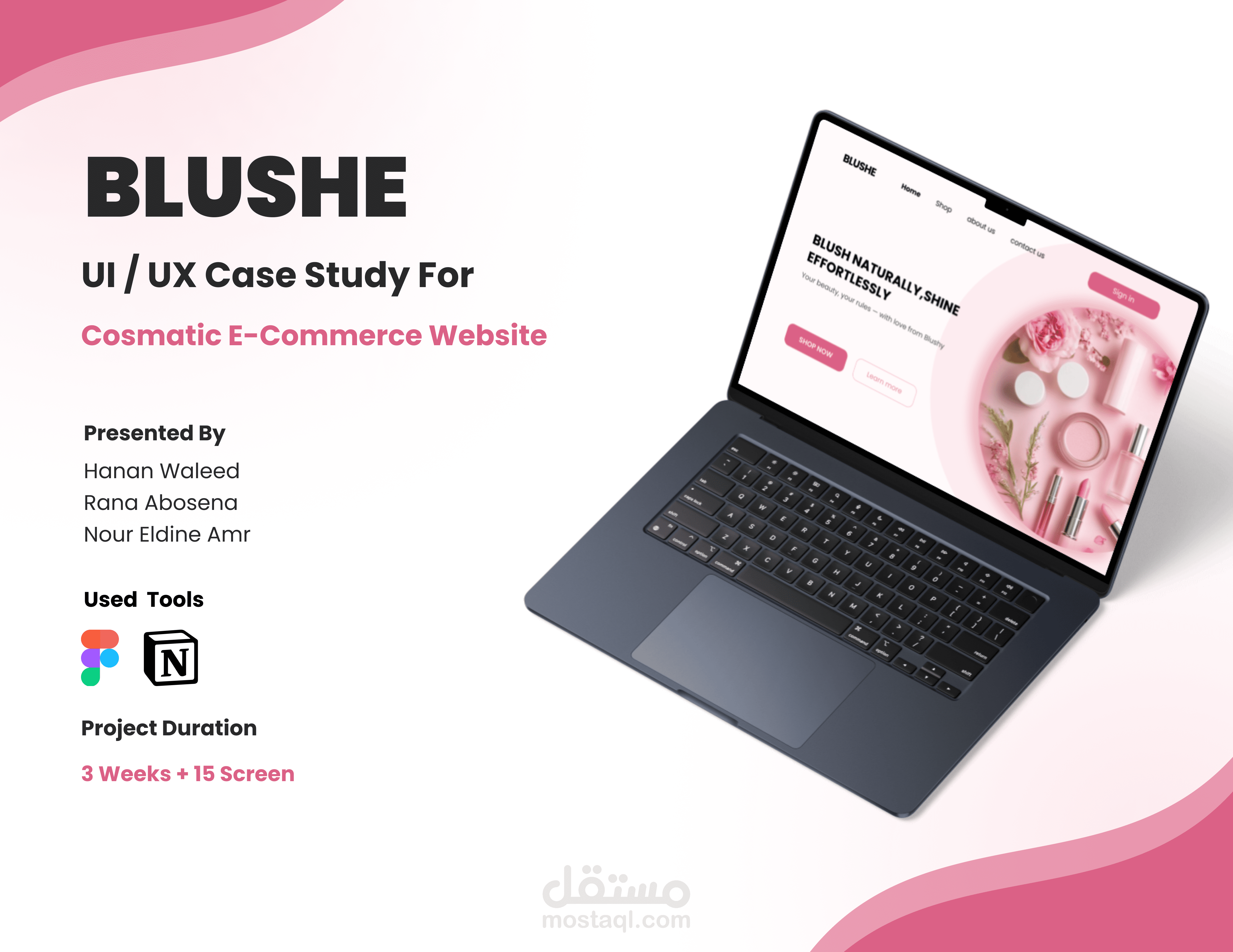 Blushe Cosmetic website