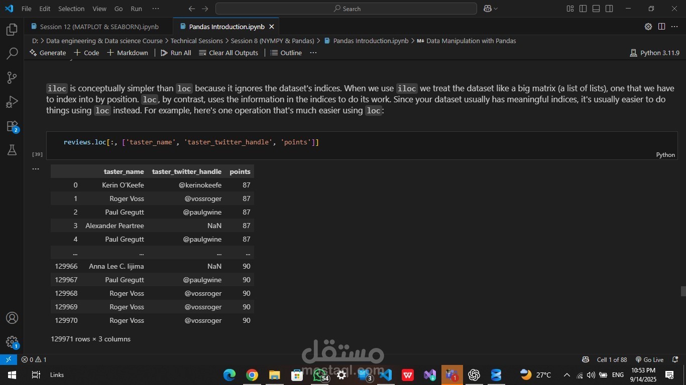 Python Pandas