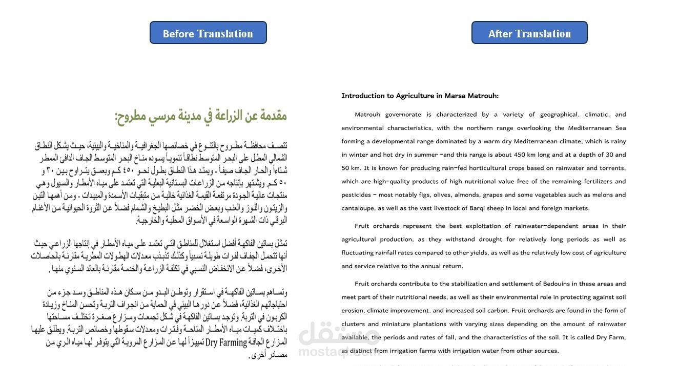 “ترجمةمن  إنجليزية الي عربية ببراعة ودقة… نصك العربي حيعيش معانيه!”