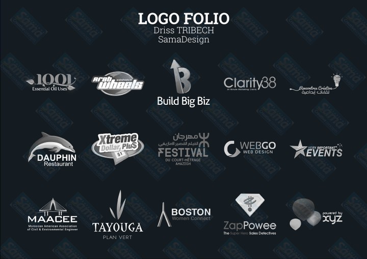 Logo Folio Driss Tribech