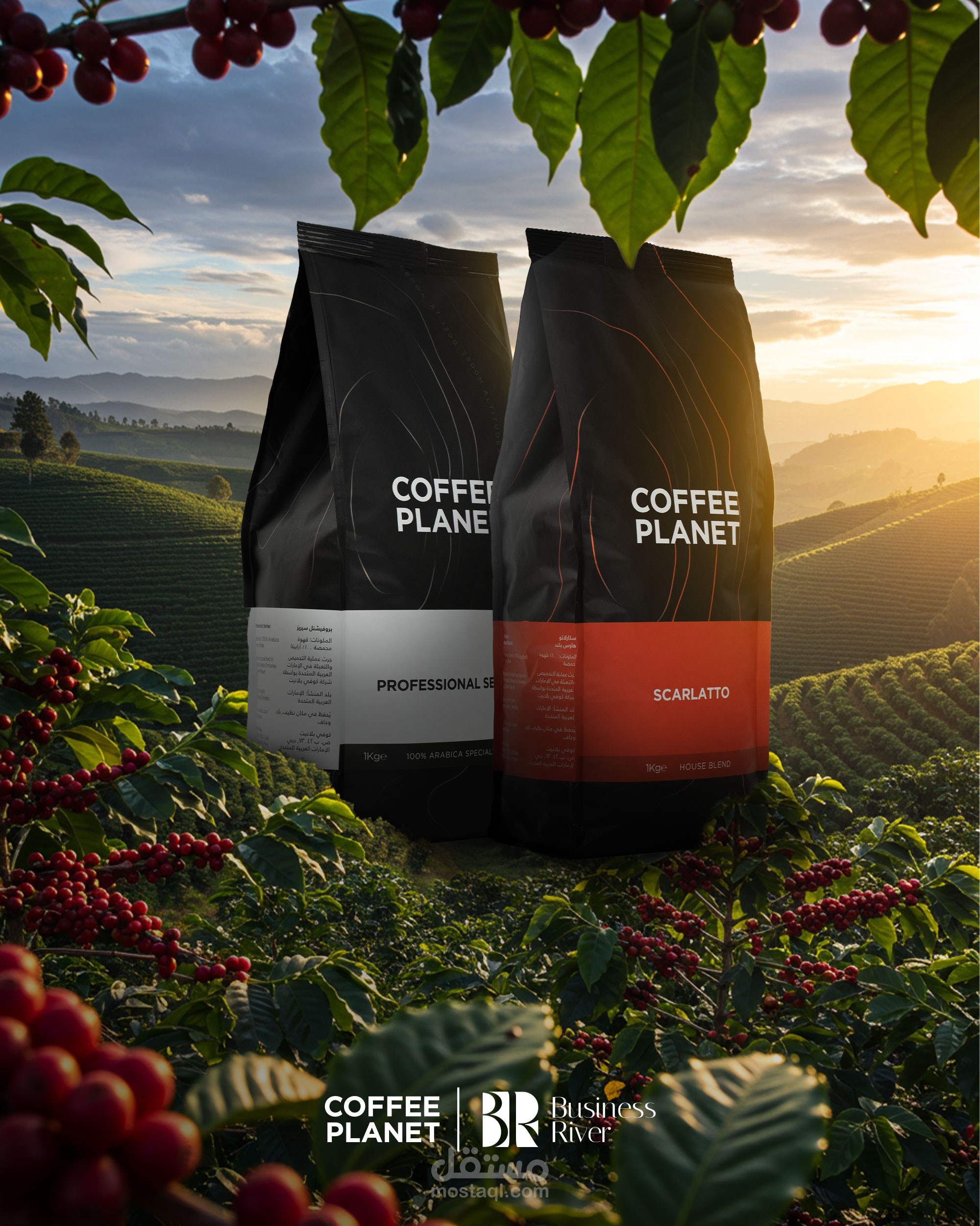 تصاميم سوشيال ميديا لعلامة Coffee Planet – رحلة القهوة من المزرعة إلى الكوب