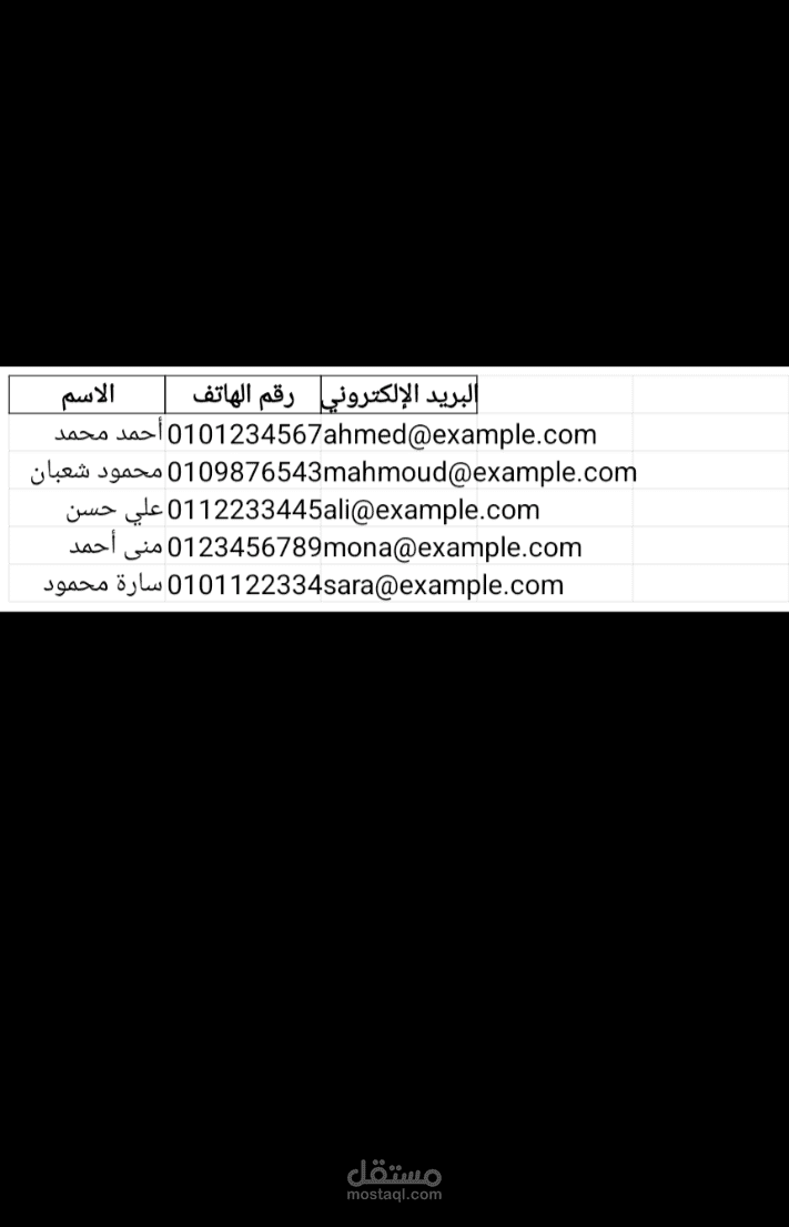 إدخال بيانات على ملفExcel
