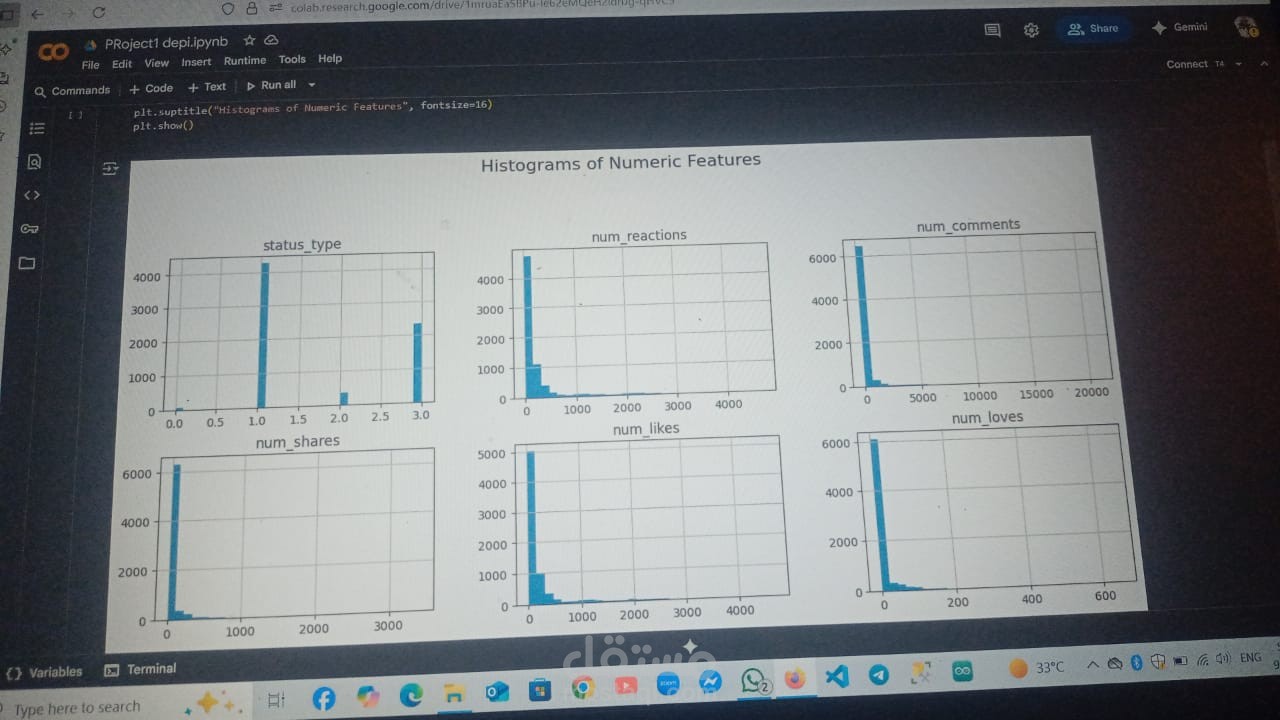 project ml