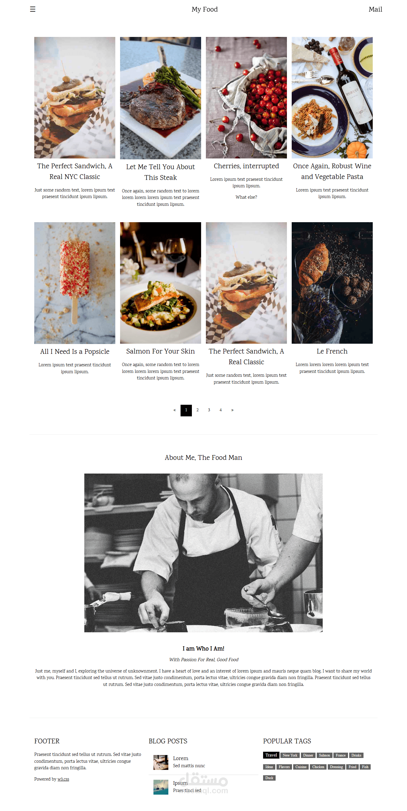 Responsive Food Blog Website Design and Development
