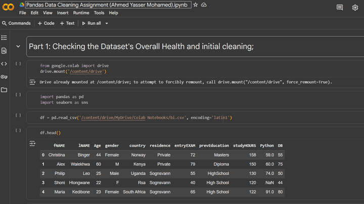 Pandas Data Cleaning Assignment