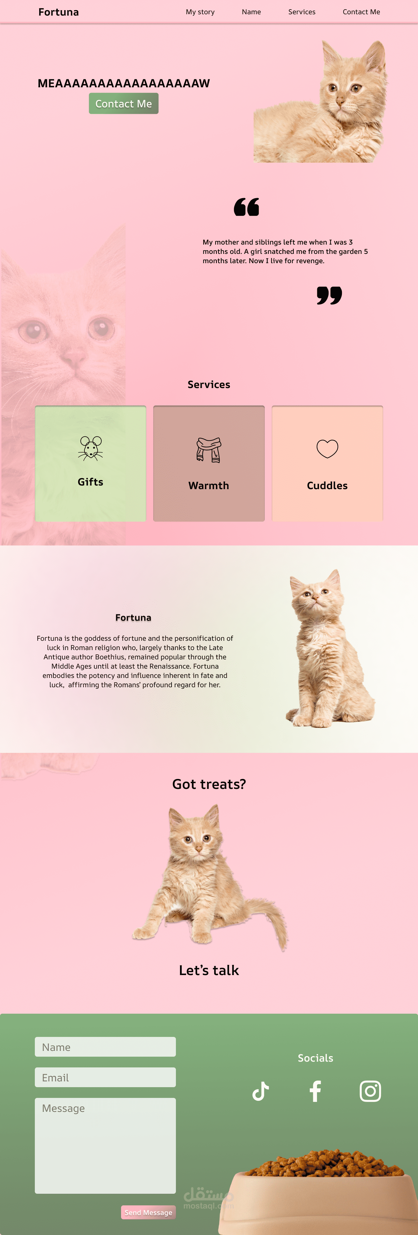Cat Porfolio