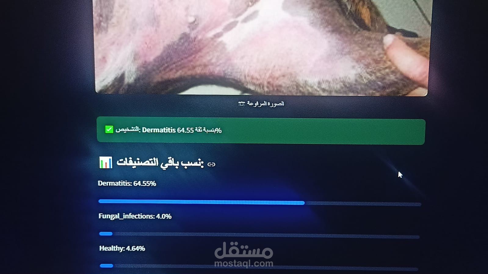 نظام ذكي لتشخيص أمراض جلدية للكلاب باستخدام الرؤية الحاسوبية