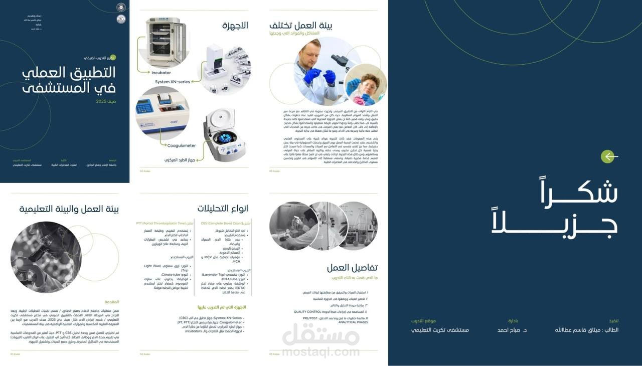 كتابة التقارير العلمية والمالية