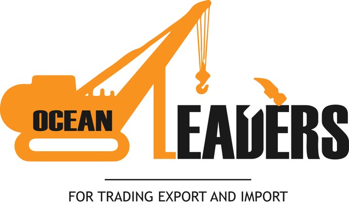 Ocean Leaders Logo Design
