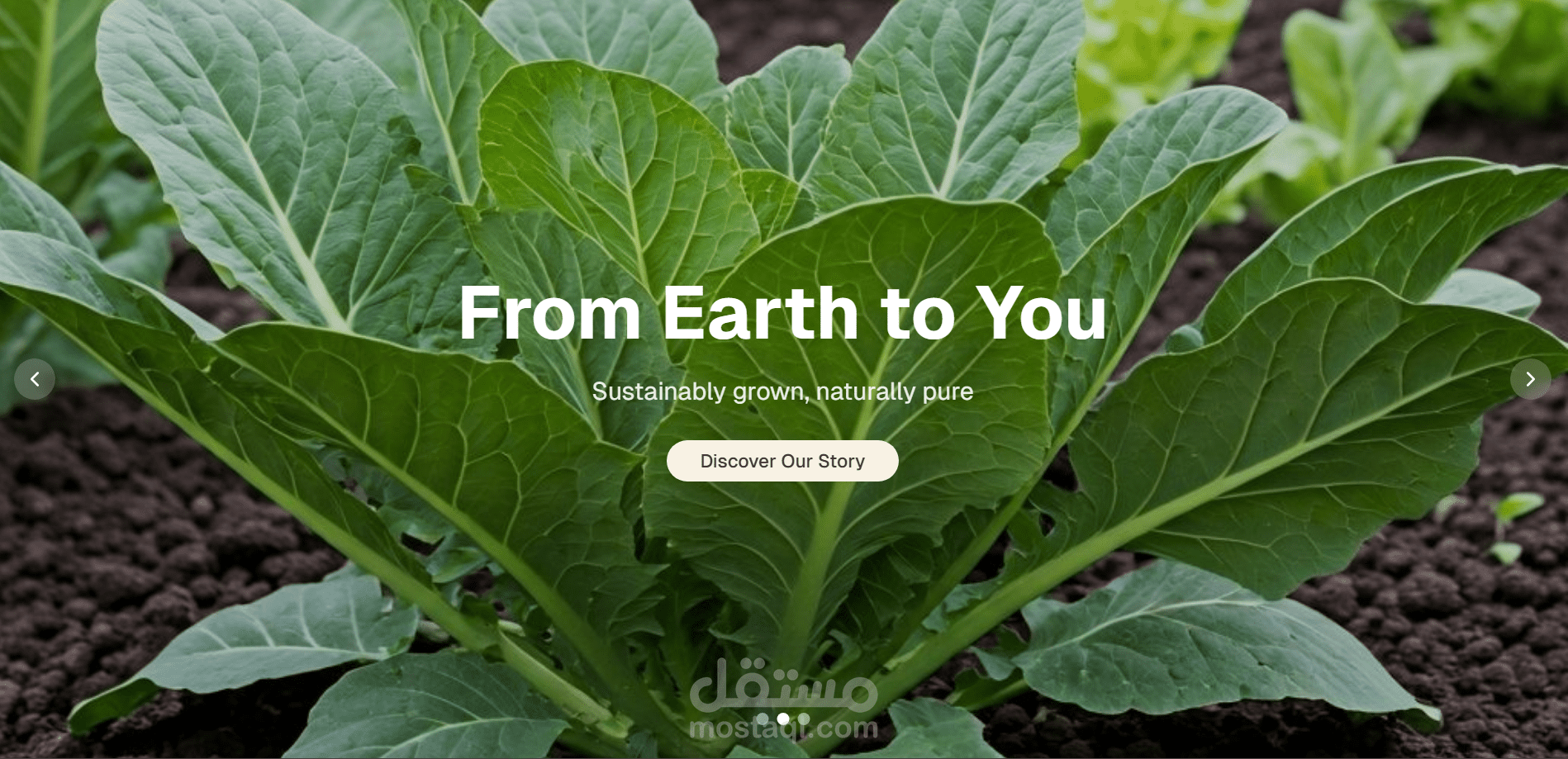 Organic | Landing Page