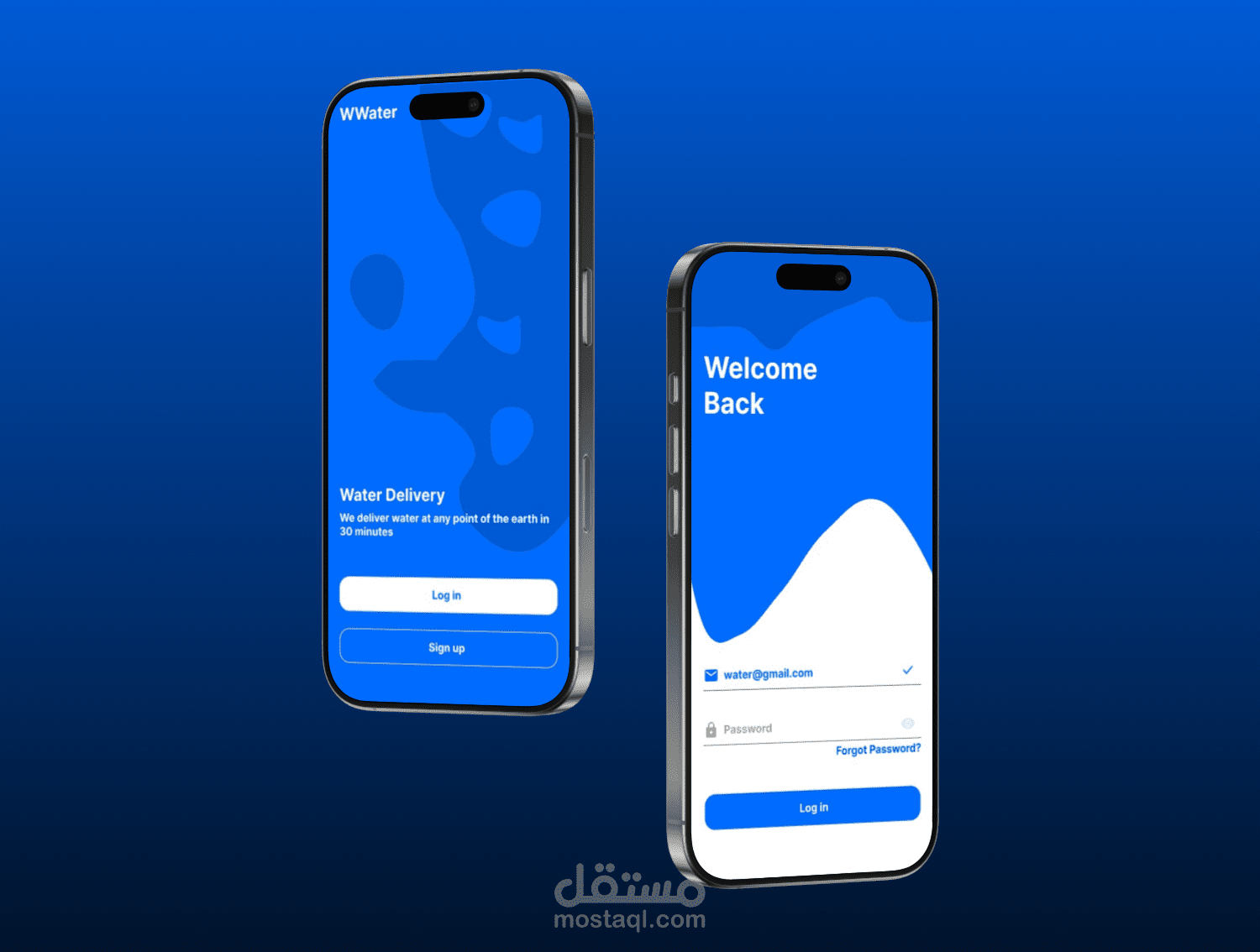 Log in page