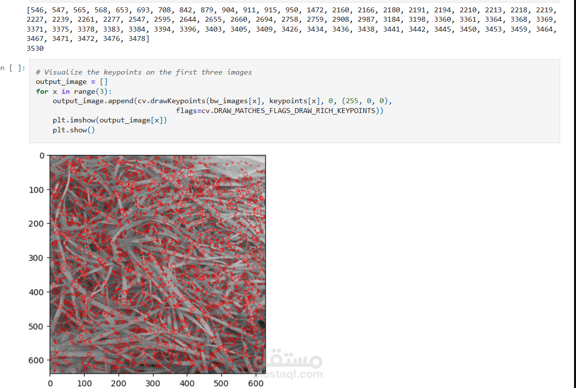 Image Retrieval System using SIFT and Bag-of-Words (BoW)