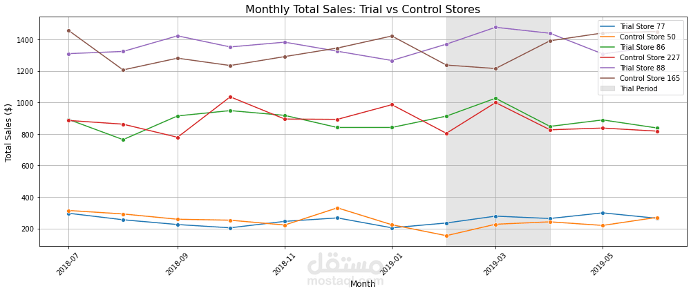 Quantium's Data Analytics
