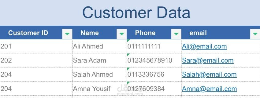 Enter and organize customer data into Excel spreadsheets