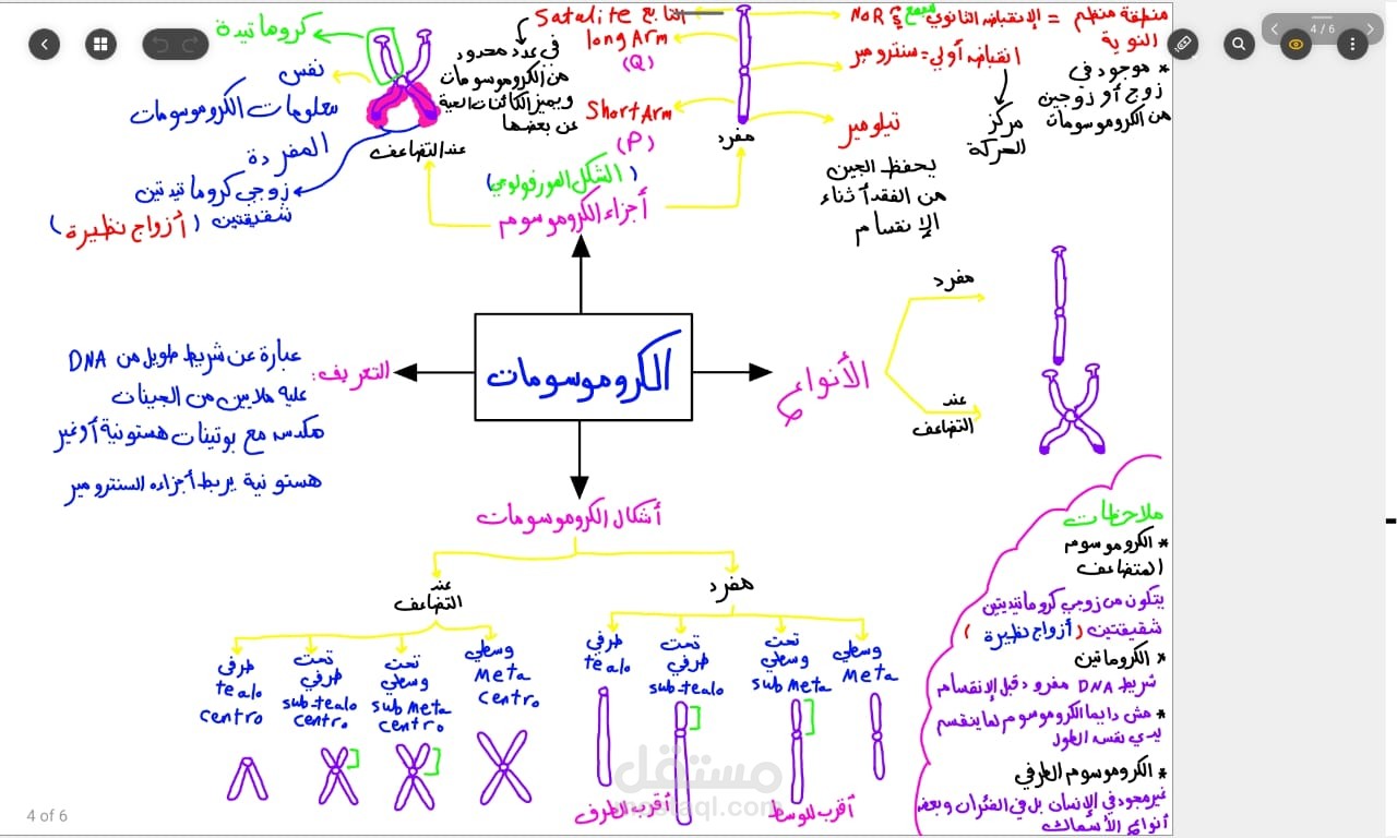 ملخص ملفات