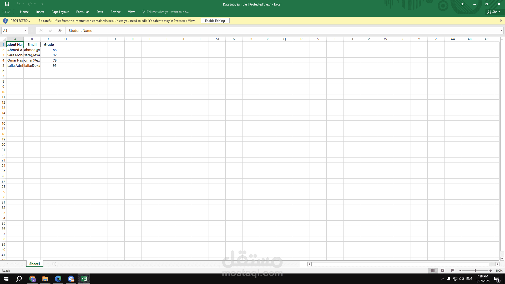 data entry