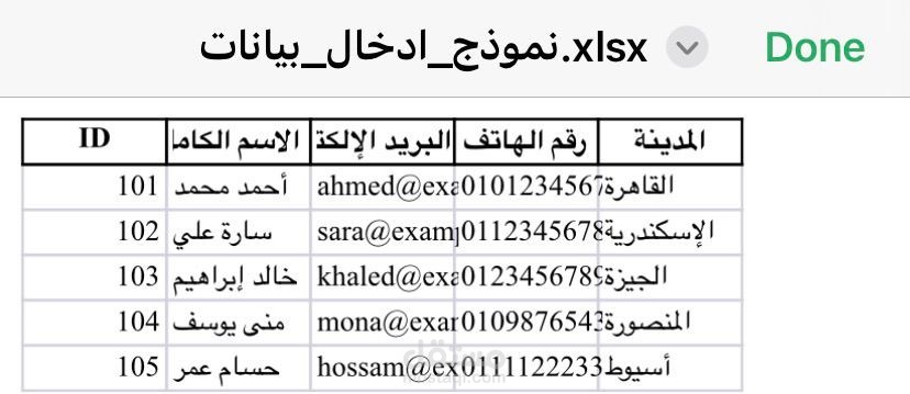 نموذج عملي لإدخال البيانات وتنظيمها باستخدام Excel