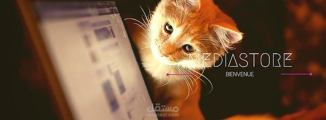 MediaStore Cover