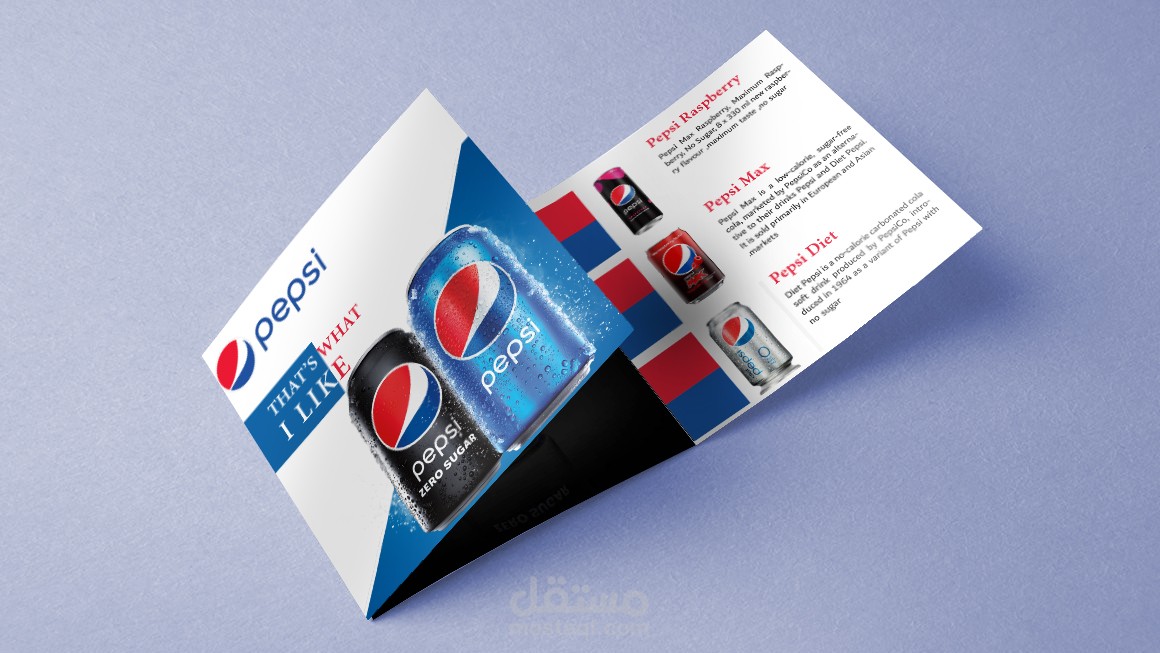 تصميم جرافيك بروشور   Brochure
