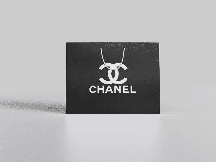 Chanel Bags Design