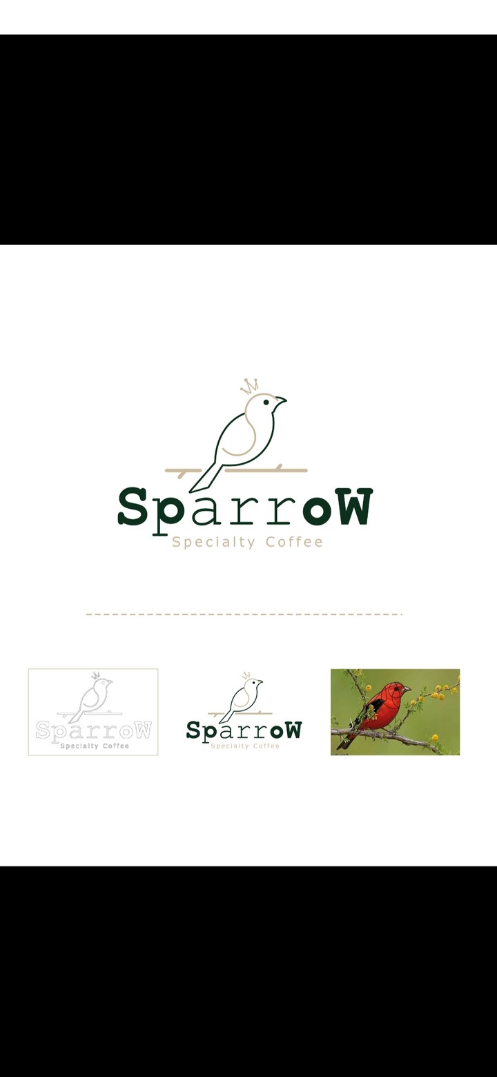 Sparrow