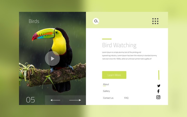 UI | Landing Page Bird Watching