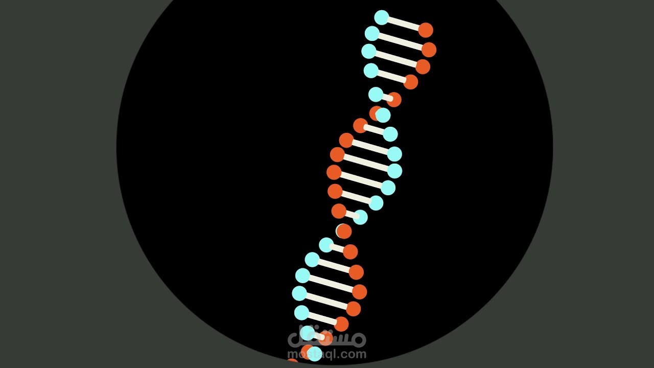 DNA Ladder