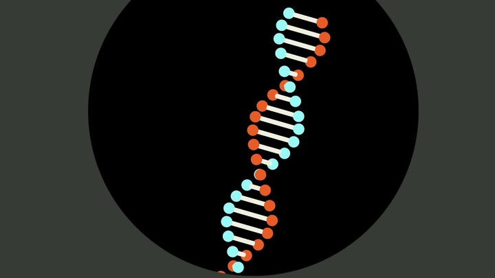 DNA Ladder