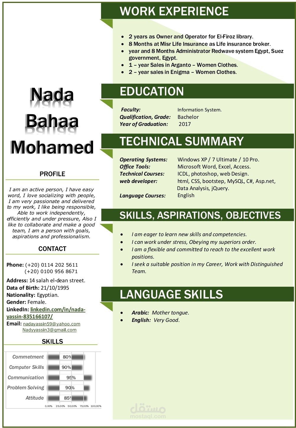 سيرة ذاتيه احترافيه CV