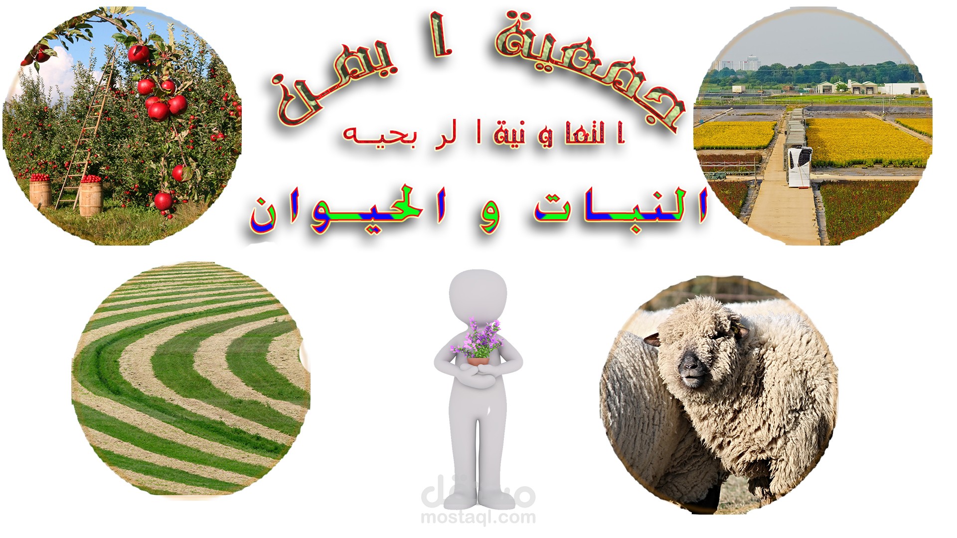 جمعية ايمن