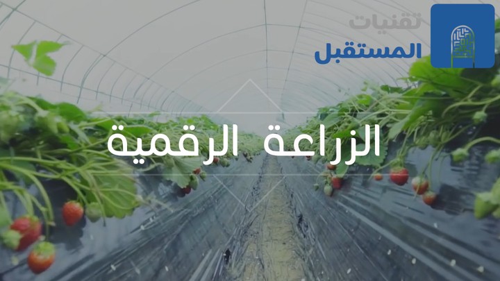 مستقبل الزراعة الرقمية