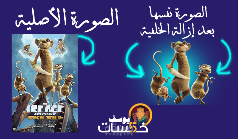 إزالة الخلفيات و التفاصيل المشتتة من الصور
