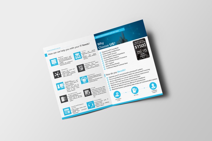 A3 Brochure