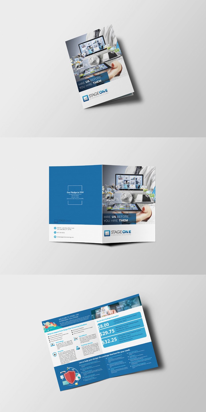 A3 Brochure