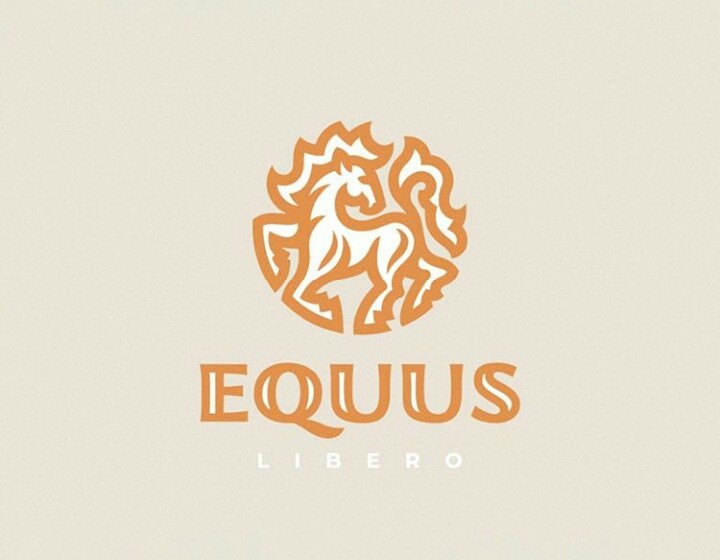 Equus logo