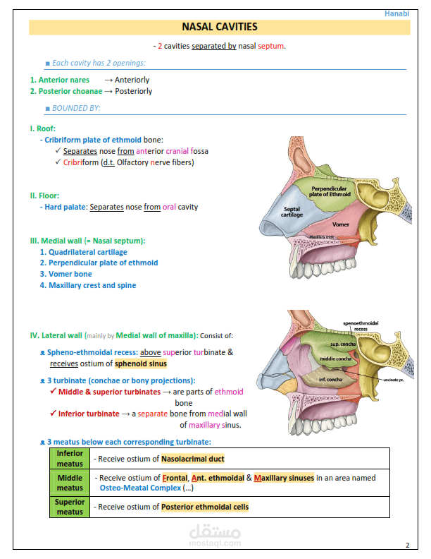 تنظيم وتنسيق المواد