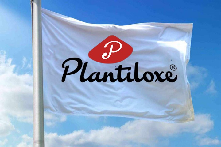 PLANTILOXE