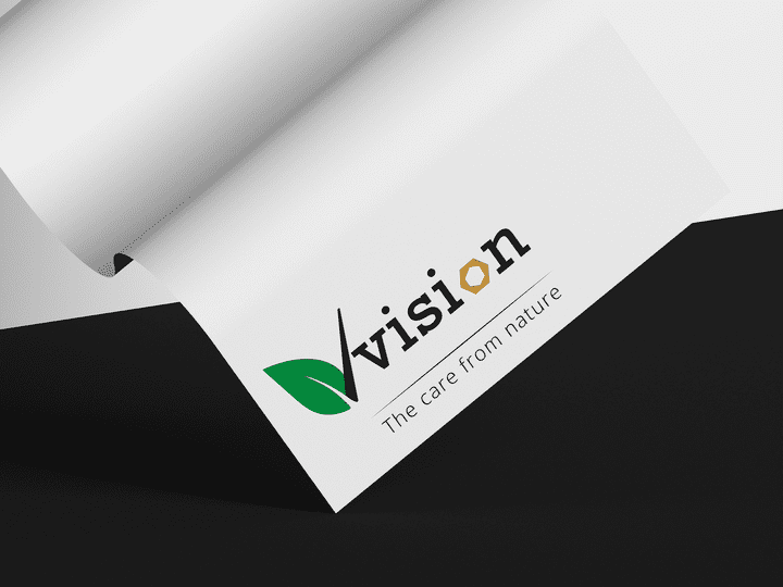 Vision Logo