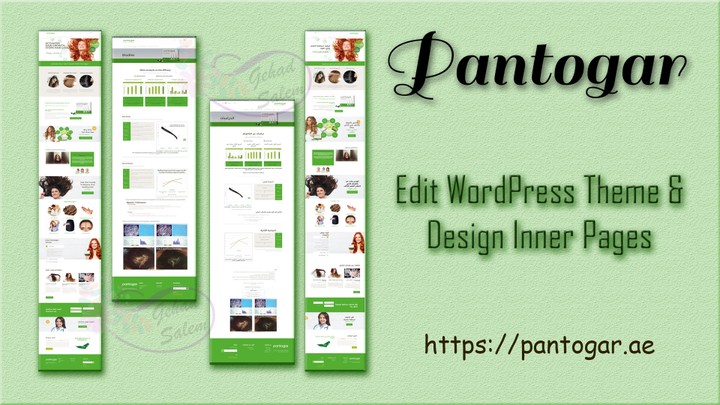 Edit WordPress Theme & Design Inner Pages