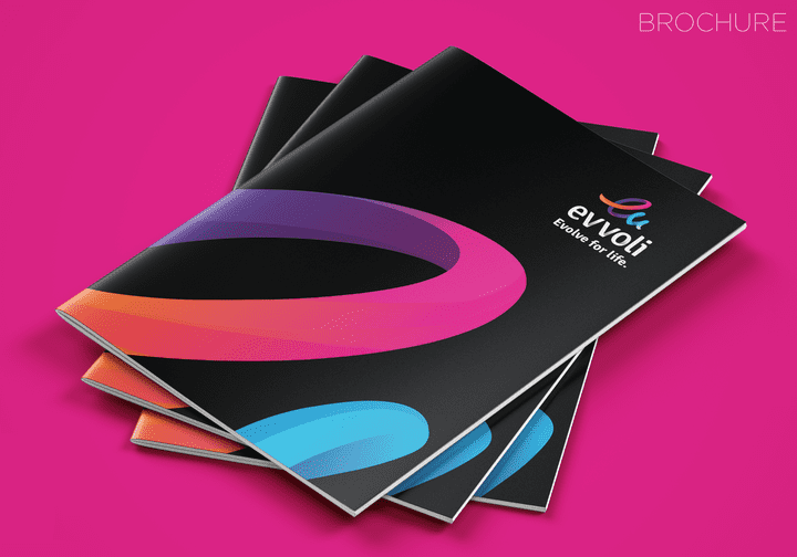 evvoli brochure design