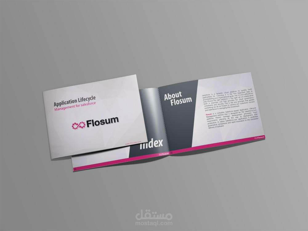 تصميم بروشير Brochure