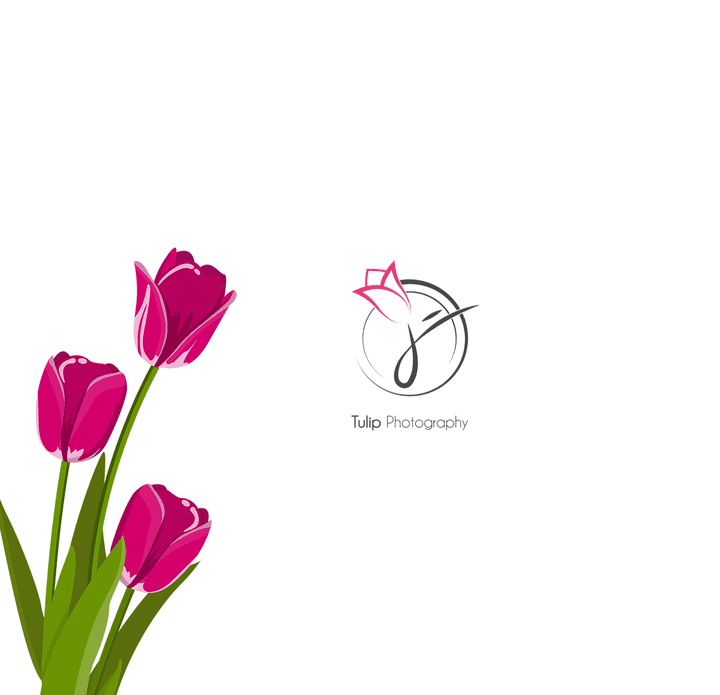 Tulip photographer | توليب فوتوغرافي