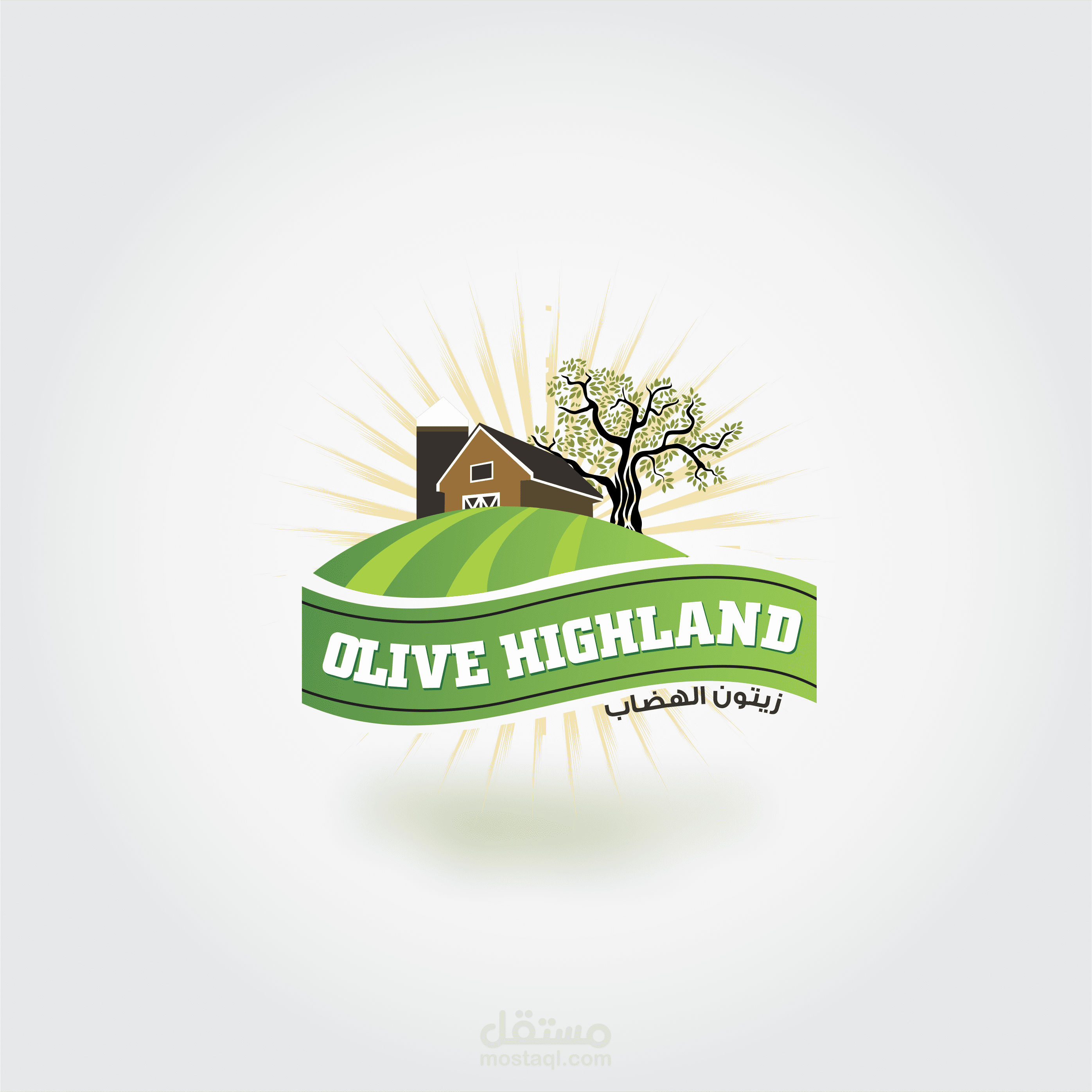 Olive highland