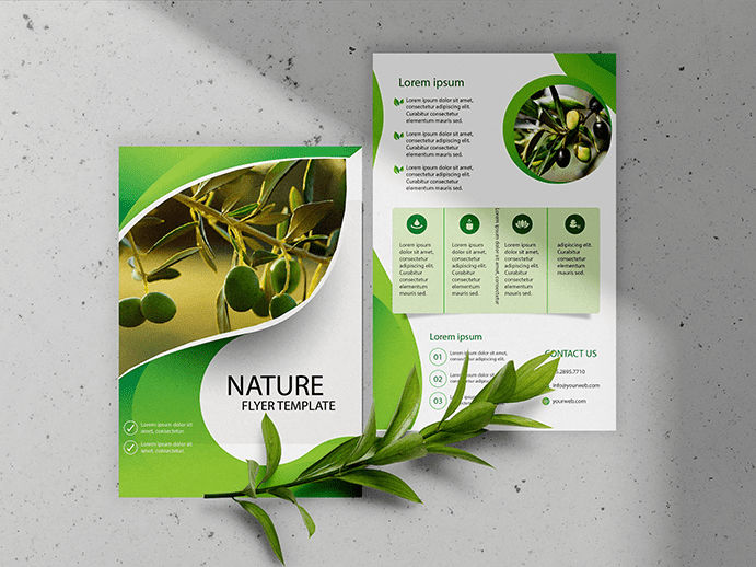 Flyer Design (illustrator )